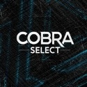 Cobra Select 40 грамм