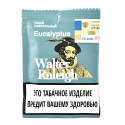 Walter Raleigh