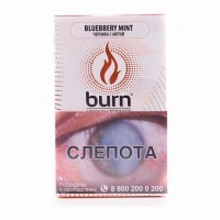 Табак Burn - Blueberry Mint (Черника с Мятой, 100 грамм) — 