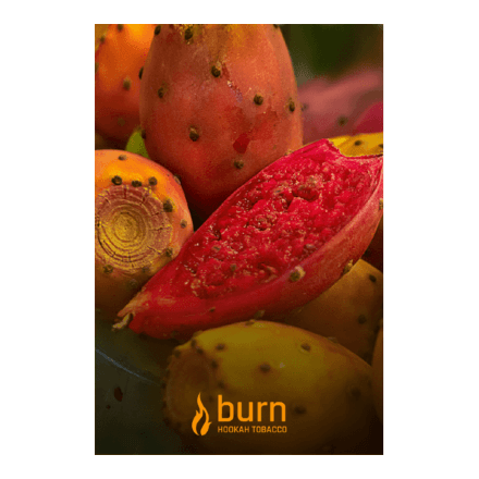 Табак Burn - Juicy Apricot (Спелый Абрикос, 100 грамм)