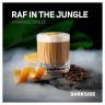 Изображение товара Табак DarkSide Core - RAF IN THE JUNGLE (Апельсиновый Раф, 30 грамм)