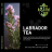 Табак Jent - Labrador Tea (Багульник и Саган Дайля, 30 грамм)