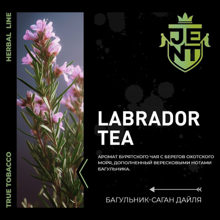 Табак Jent - Labrador Tea (Багульник и Саган Дайля, 25 грамм)