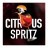 Табак Must Have - Citrus Spritz (Цитрусовый Коктейль с Просекко, 25 грамм)
