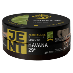 Табак Jent - Havana 29 (Мохито, 25 грамм)