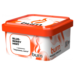 Табак Burn - Blueberry Mint (Черника с Мятой, 200 грамм)
